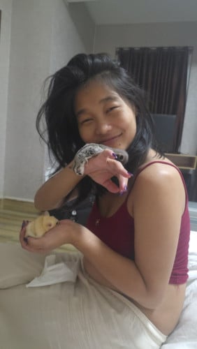 Sugarglider