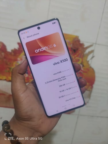 VIVO X100 sim2./ 16g / 256g / CH / zin / 97/98%