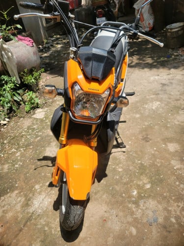 Zoomer 018មាន កាតគ្រីត្រឹមត្រូវ