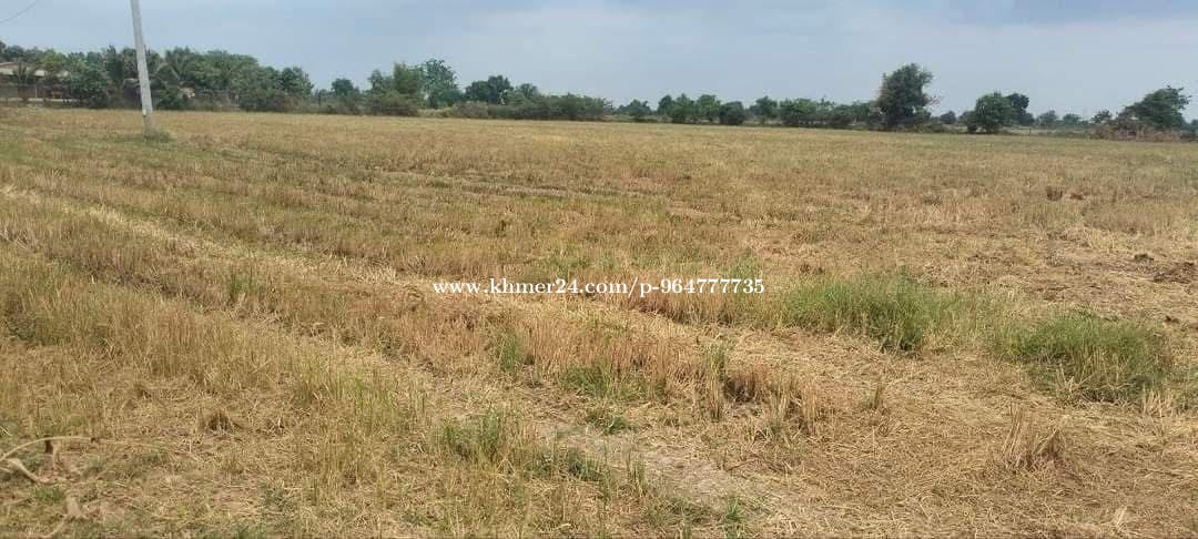 ដីលក់ប្រញាប់លុយ តំលៃក្រោមទីផ្សារ
