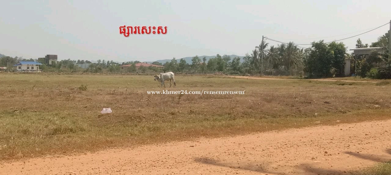 ដីលក់បន្ទាន់ជិតផ្សារសេះស