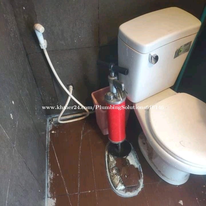☑️FIX CLOGGED TOILETS