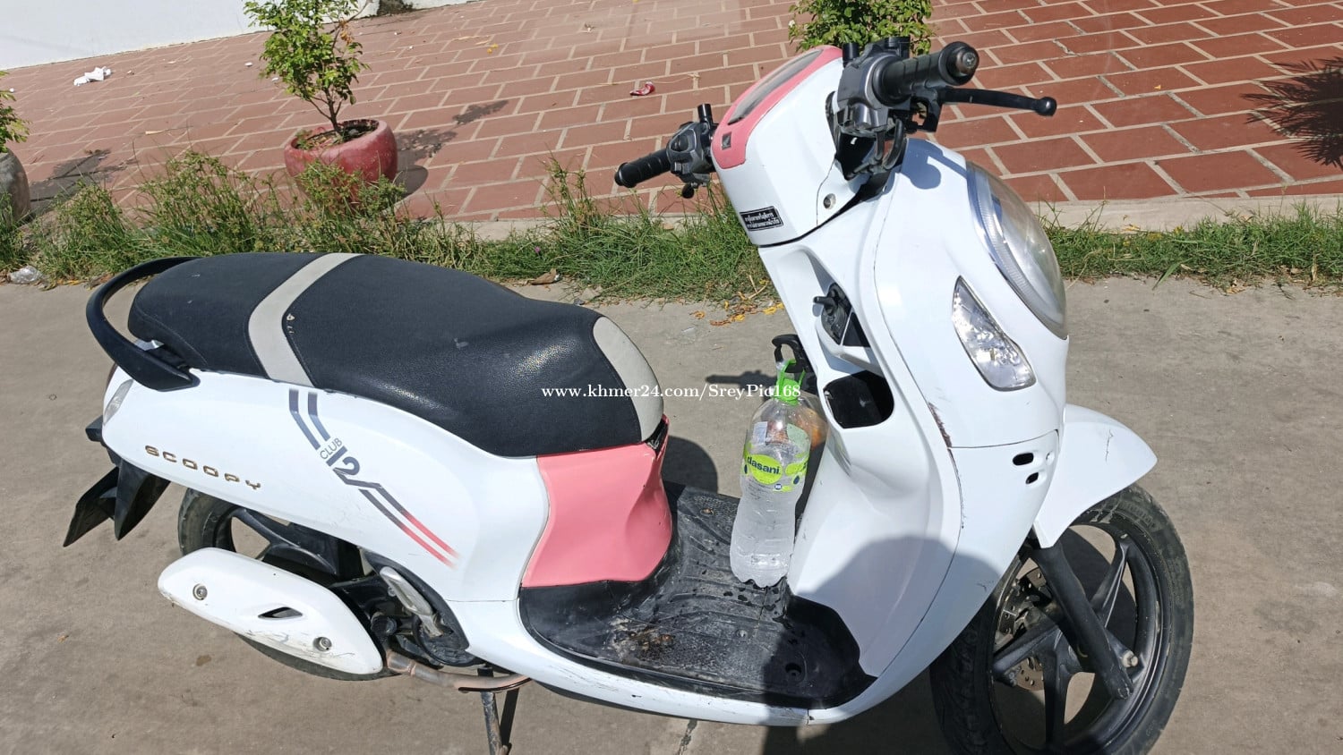 Honda Scoopyi 022
