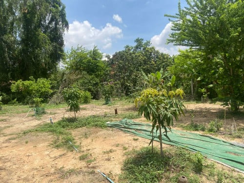 ដីសំរាប់លក់
