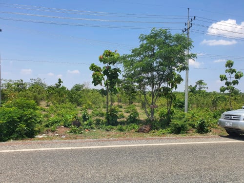 ដីលក់ប្រញ៉ាប់