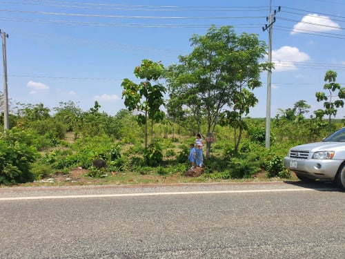 ដីលក់ប្រញ៉ាប់
