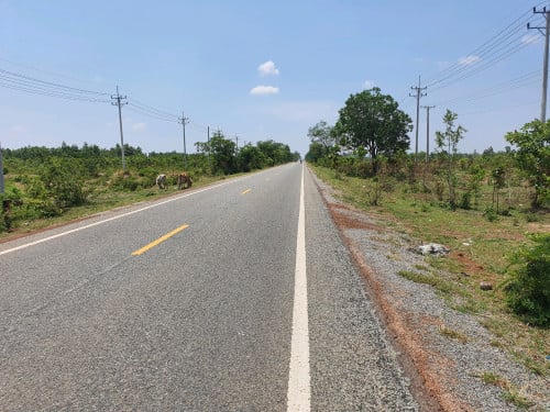 ដីលក់ប្រញ៉ាប់