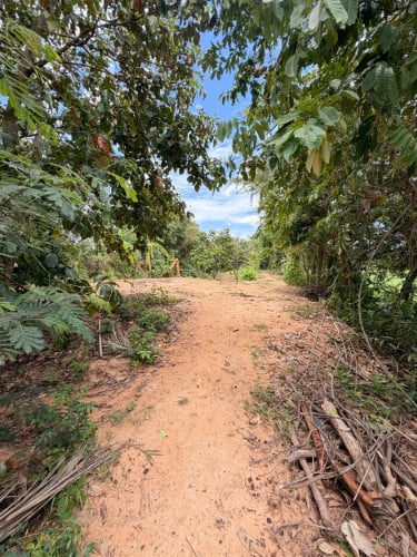 ដីលក់នៅក្បែរផ្សារក្រោមសៀមរាប