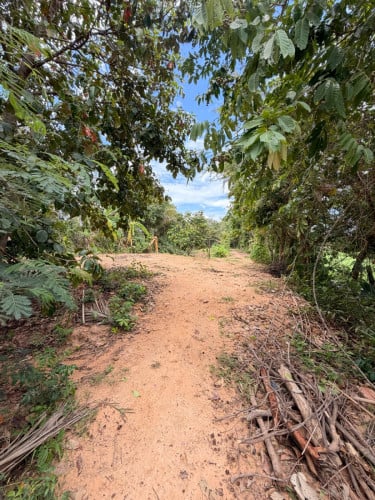 ដីលក់នៅក្បែរផ្សារក្រោមសៀមរាប