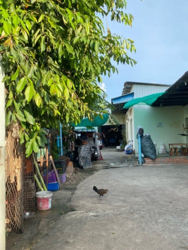 ដីមានបន្ទប់ជួល