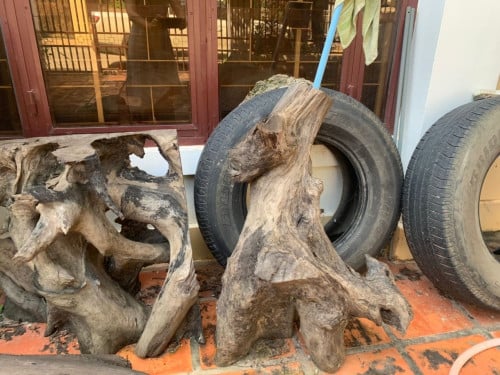 ឬសខ្លឹមឈើសំរាប់ឆ្លាក់ធ្វើរូបផ្សេងៗលក់