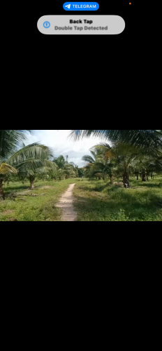 ដីចំការសំរាប់លក់
