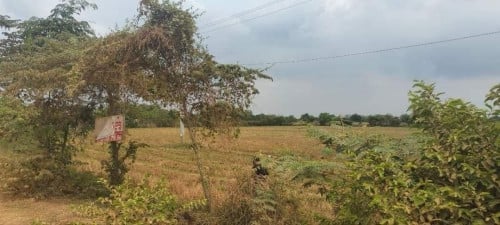 ដីលក់ប្រញាប់លុយ តំលៃក្រោមទីផ្សារ