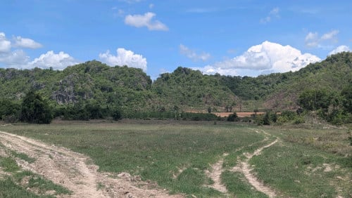 ដីលក់ នៅខាងក្រោយរោងចក្រជីបម៉ុង ខេត្តកំពត មានប្លង់រឹង