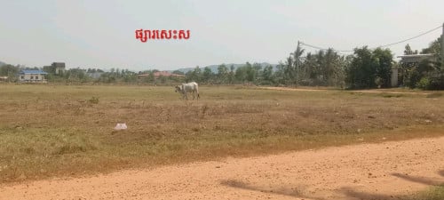 ដីលក់បន្ទាន់ជិតផ្សារសេះស