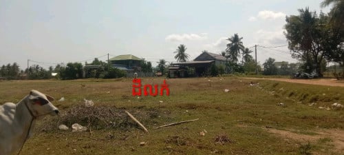 ដីលក់បន្ទាន់ជិតផ្សារសេះស
