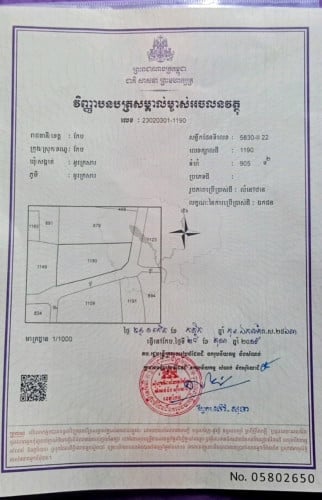 ដីលក់បន្ទាន់ជិតផ្សារសេះស
