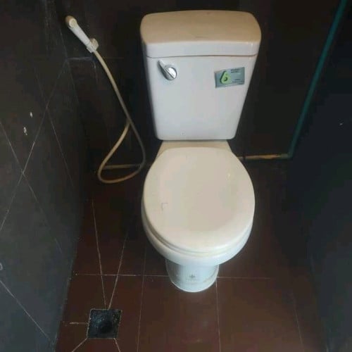 ☑️FIX CLOGGED TOILETS