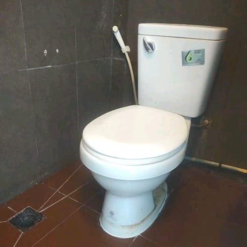 ☑️FIX CLOGGED TOILETS