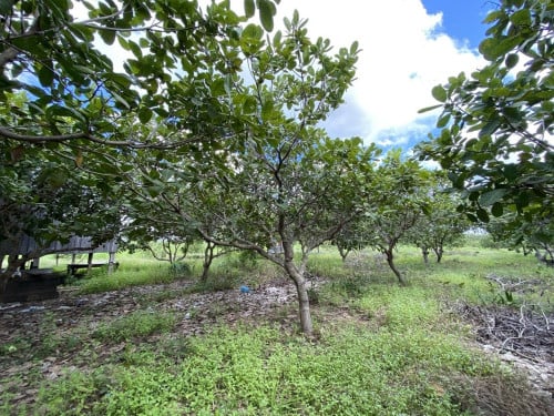 ๐ฆLand Available for Urgent Sale at a Special Price (Negotiable).