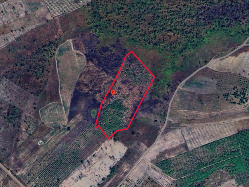 ๐ฆLand Available for Urgent Sale at a Special Price (Negotiable).