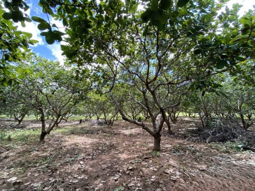 ๐ฆLand Available for Urgent Sale at a Special Price (Negotiable).