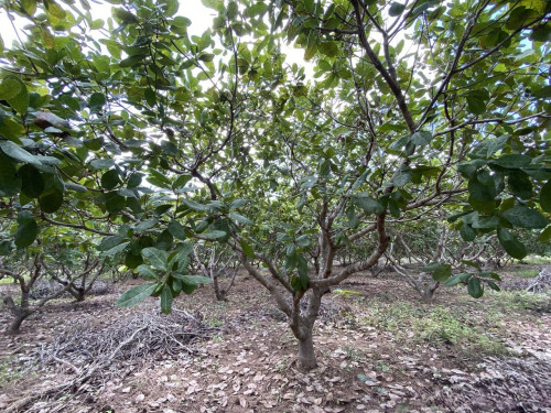 ๐ฆLand Available for Urgent Sale at a Special Price (Negotiable).