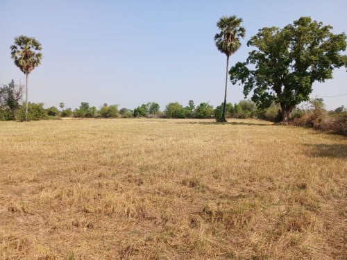 🏦Land Available for Urgent Sale at a Special Price (Negotiable).