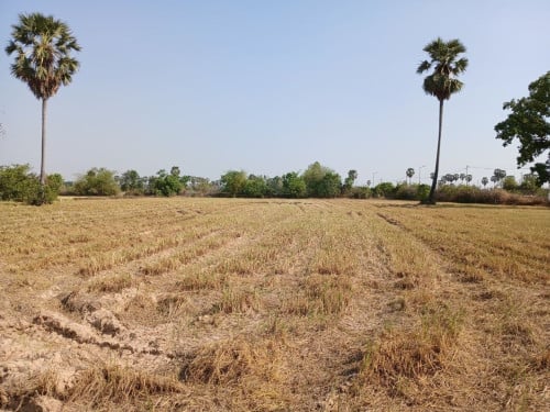 🏦Land Available for Urgent Sale at a Special Price (Negotiable).