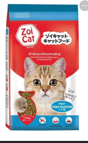Persian Kitten + Cage + 2 packs of Cat Food