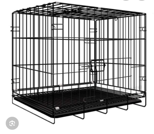 Persian Kitten + Cage + 2 packs of Cat Food