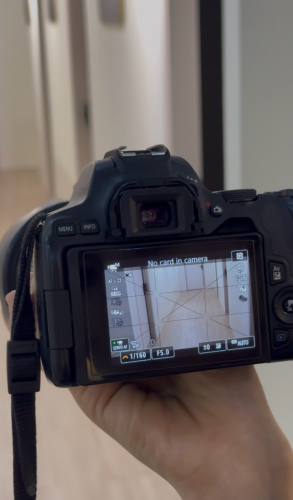 Camera Canon250D