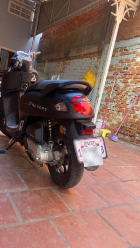 Honda Scoopy 025 ១ទឹក