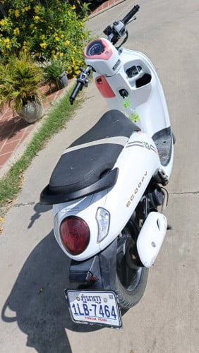 Honda Scoopyi 022