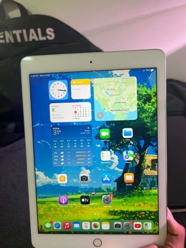 iPad Air 2