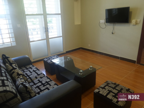 N392 | Nice Apartment 2 Bedrooms For Rent in BKK2 Free Wifi