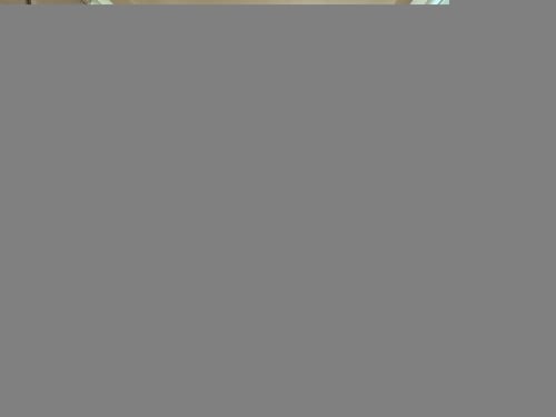 N684 | Flat Apartment 1 Bedroom For Rent Near Street 2004 Bali Resort Hotel