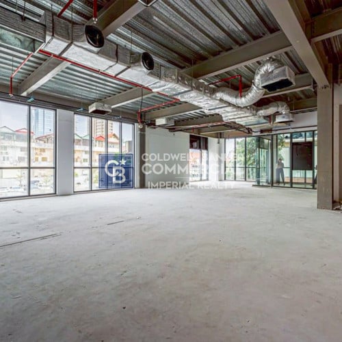 Office Space for rent at Toul Svay Prey (OF-100)