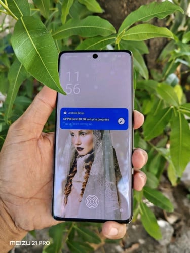 Oppo Reno10 8g/256g_Global(វៃដូរបាន)👉$195