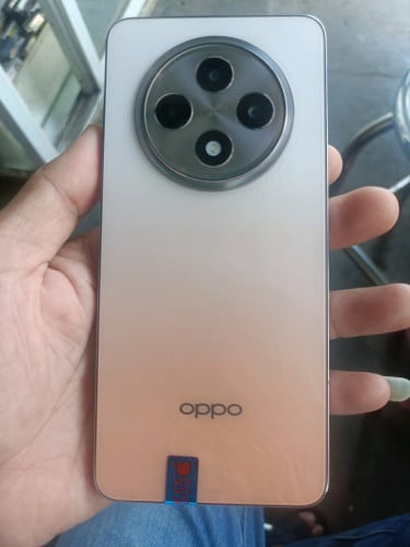 Reno 12F(ក្រុមហ៊ុន)