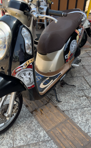 Scoopy 2013 up to 2016
