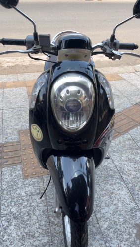 Scoopy 2013 up to 2016