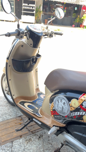 Scoopy 2013 up to 2016