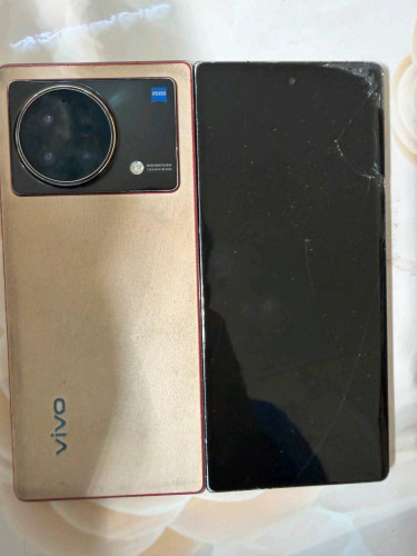 Vivo fold x plus