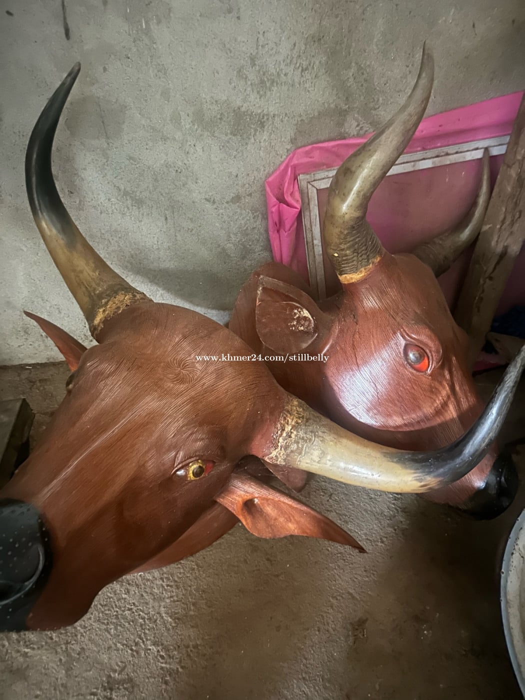 ស្នែងកន្សោង