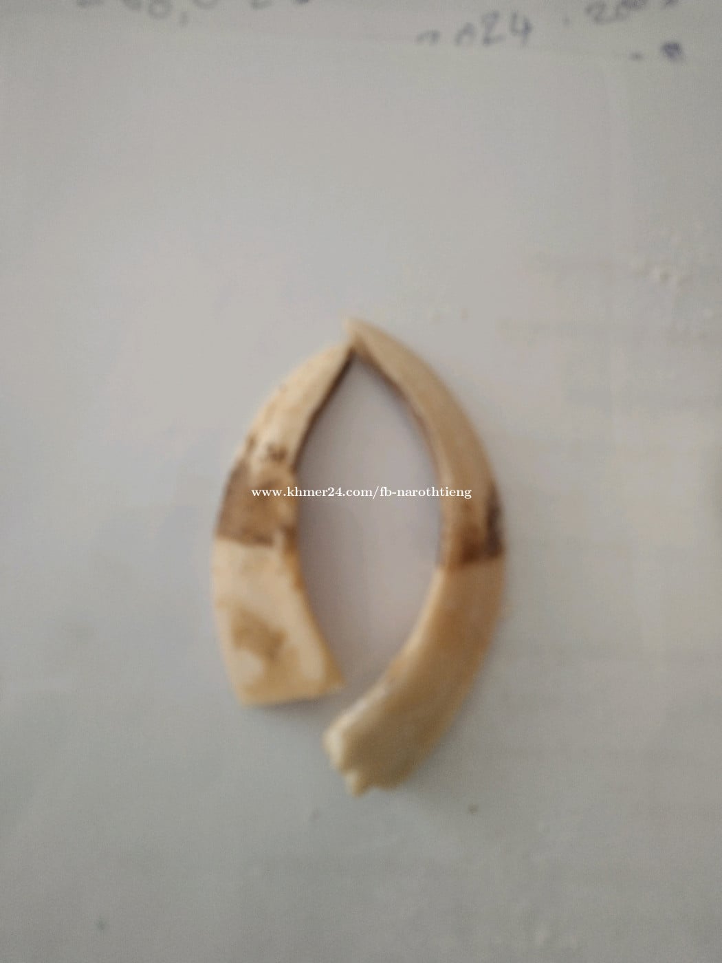 ខ្នែងជ្រូក
