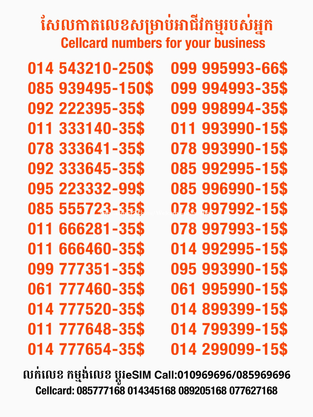 Cellcard លេខសម្រាប់អាជីវកម្ម