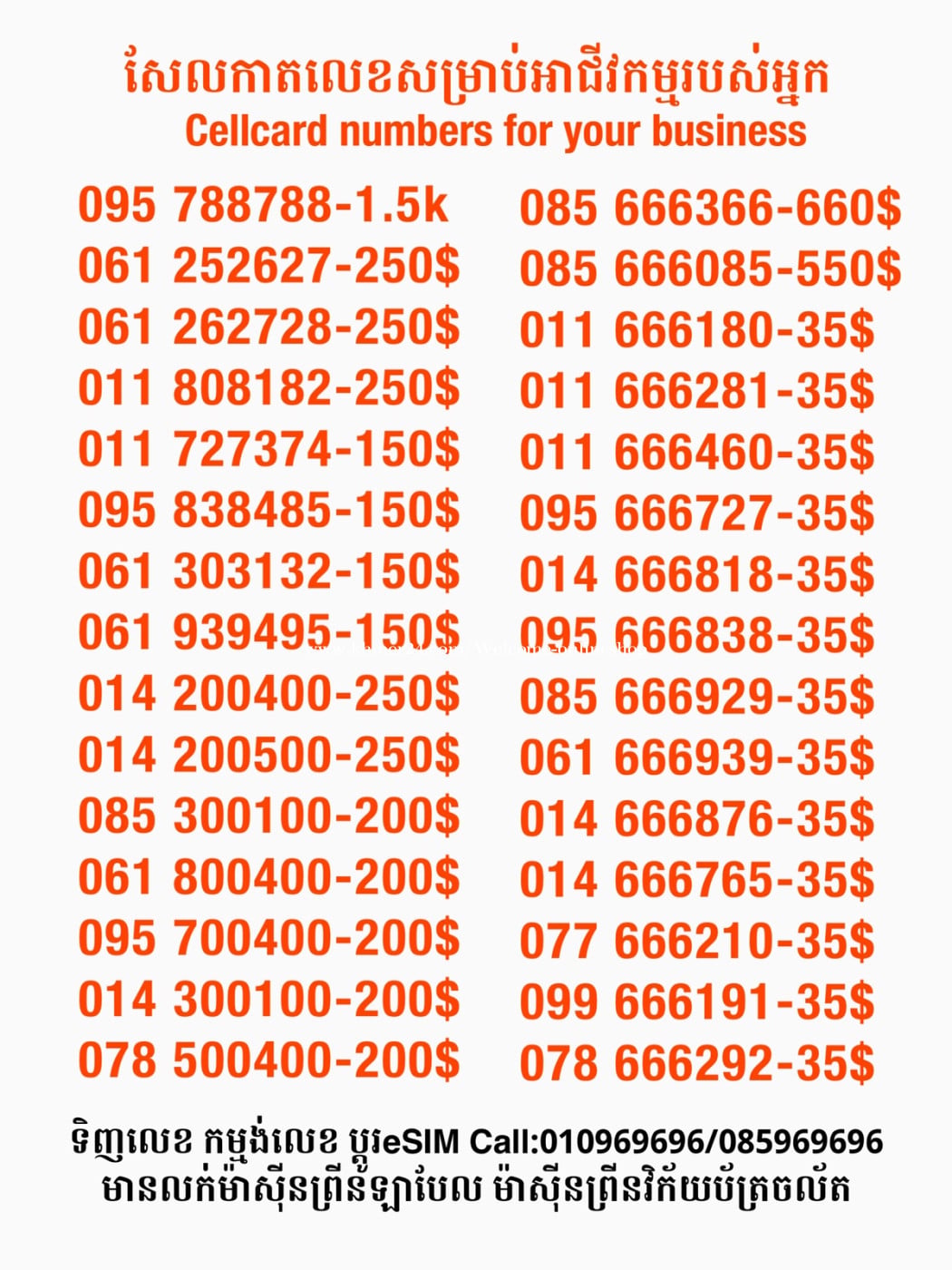 Cellcard លេខសម្រាប់អាជីវកម្ម