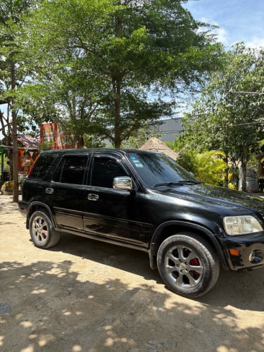 ប្រញាប់លុយ
