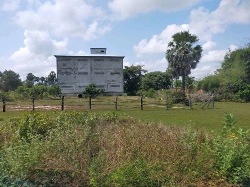 ដី លំនៅឋាន